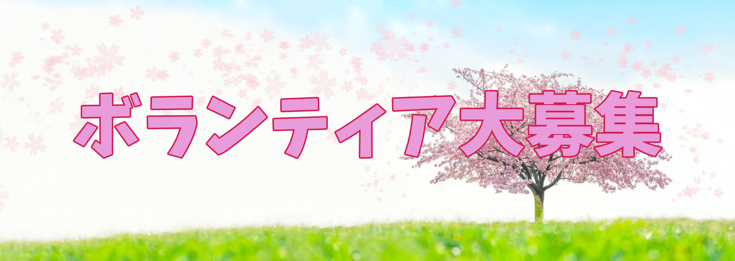 ボランティア大募集